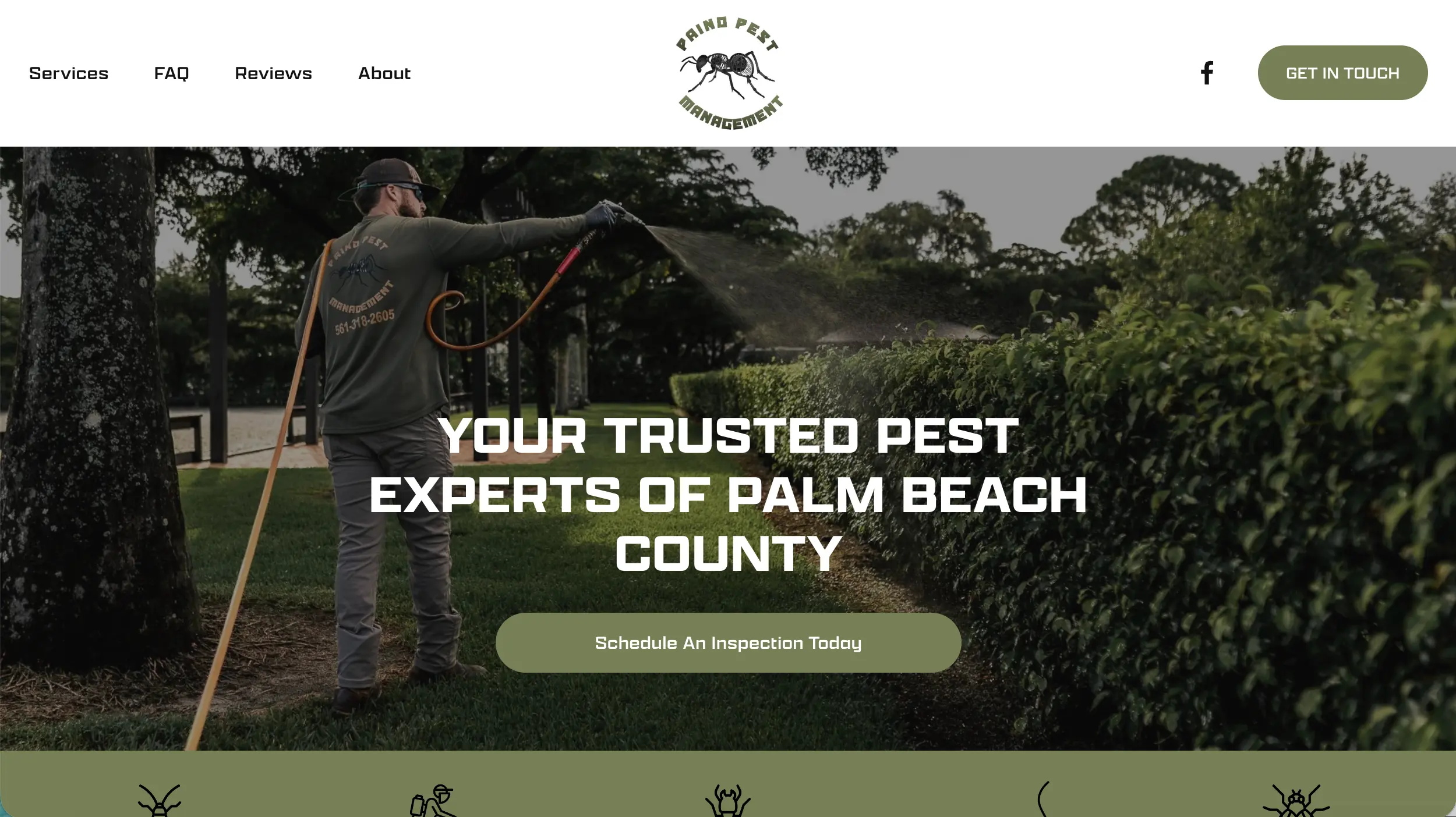 Paino Pest Management website example