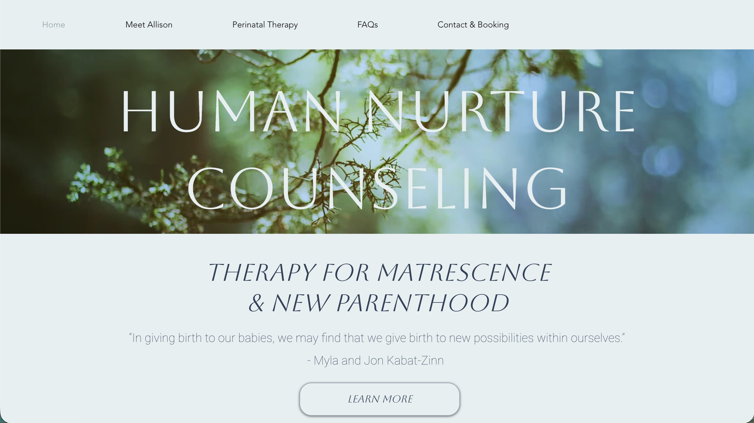 Human Nurture Counseling website homepage example